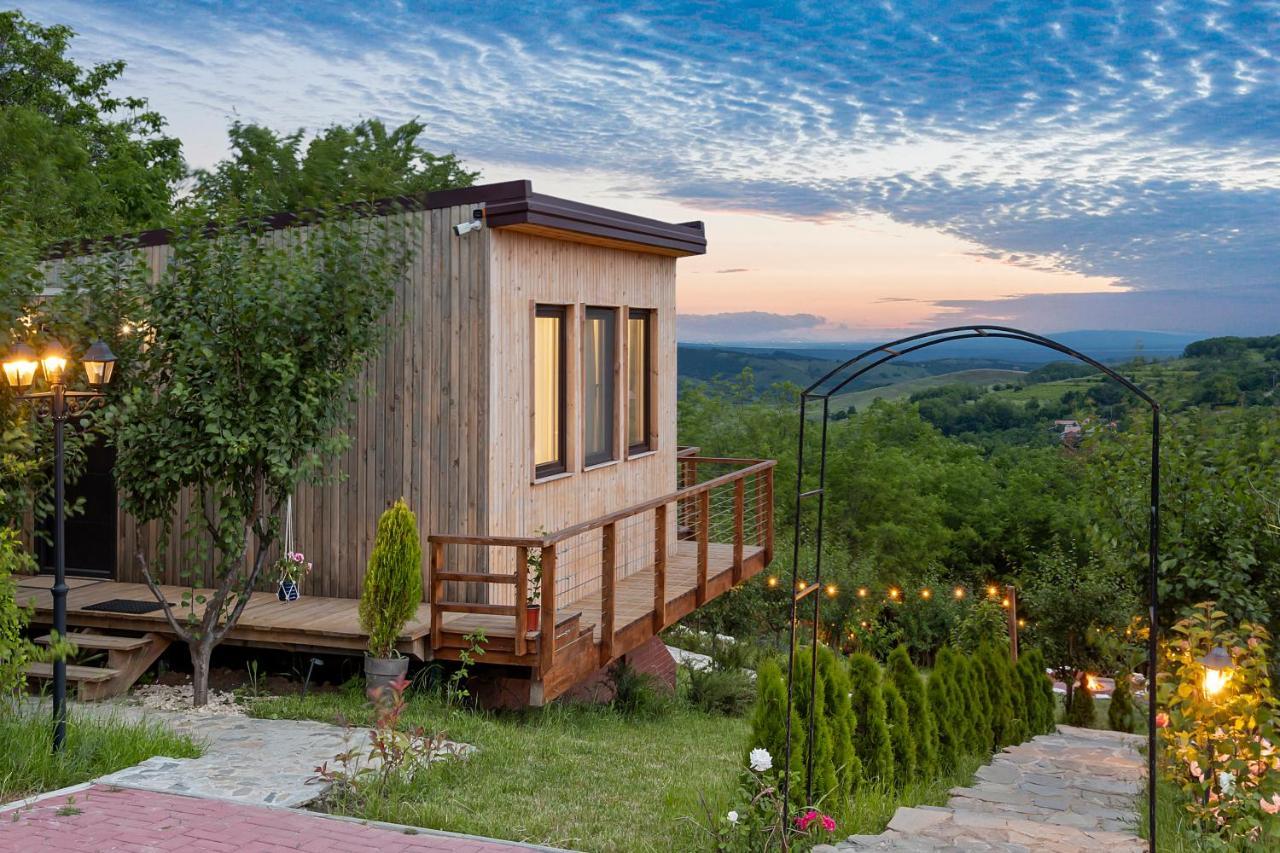 Arta Chalet Ceptura de Jos Dış mekan fotoğraf