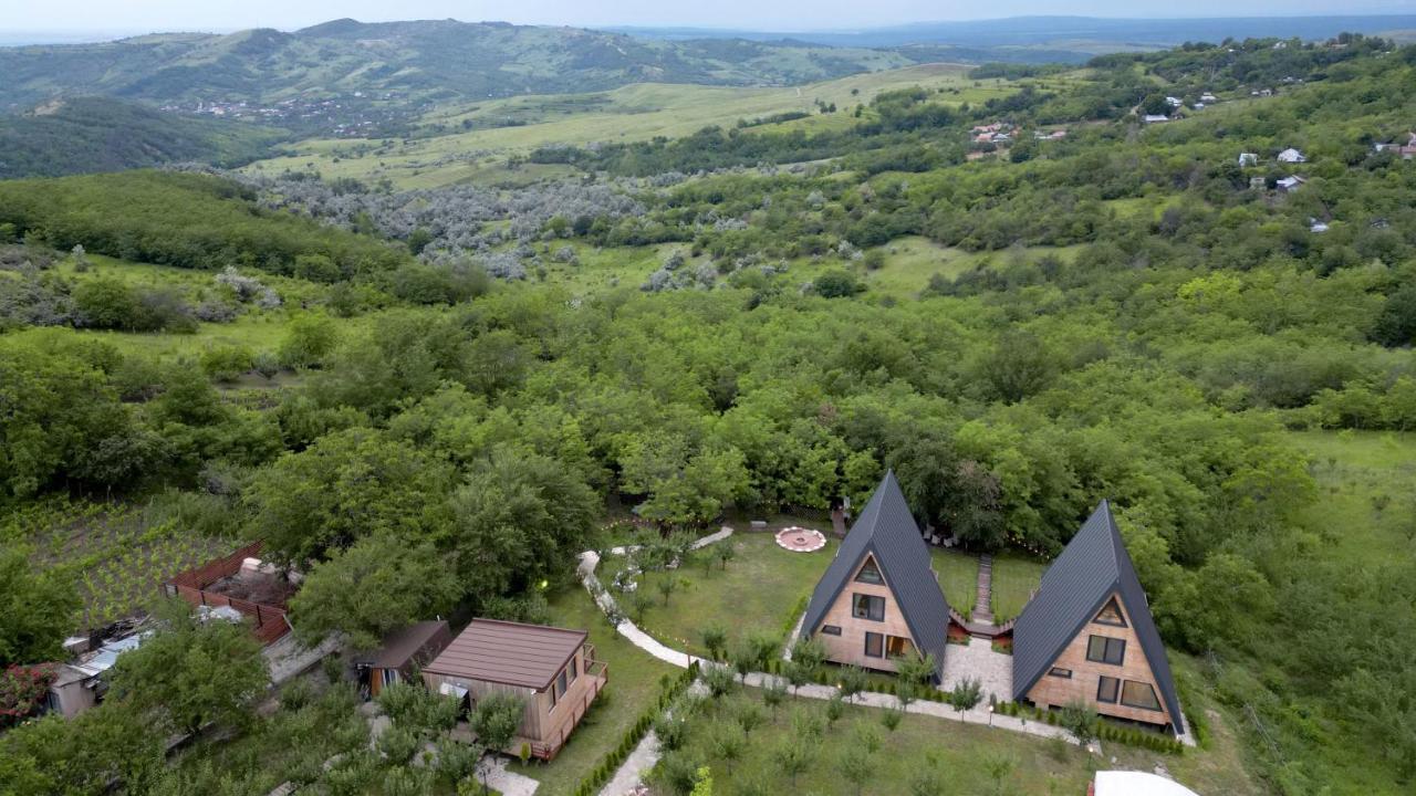 Arta Chalet Ceptura de Jos Dış mekan fotoğraf