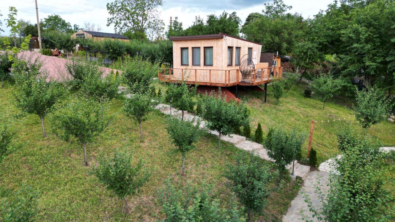 Arta Chalet Ceptura de Jos Dış mekan fotoğraf