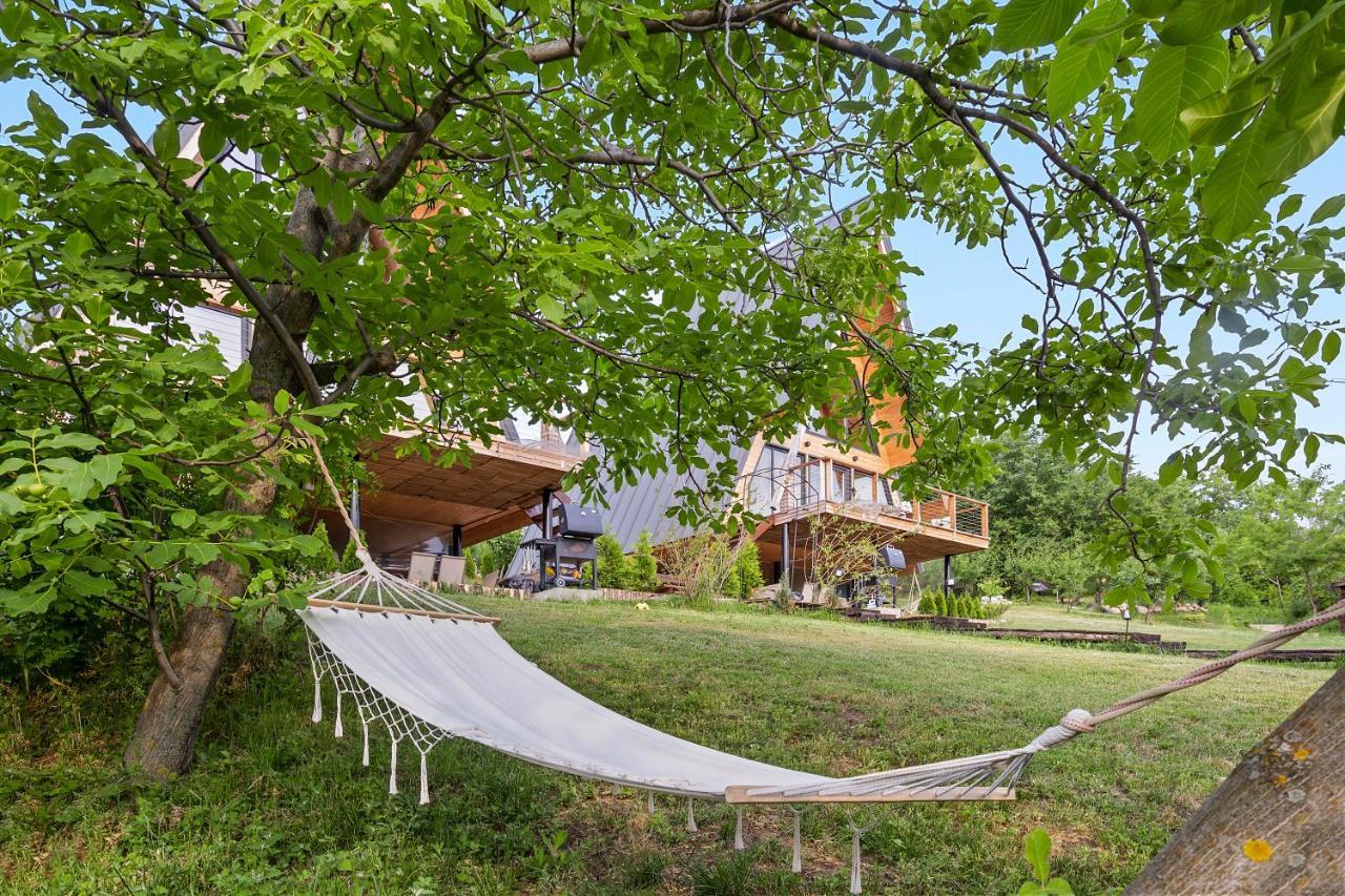 Arta Chalet Ceptura de Jos Dış mekan fotoğraf